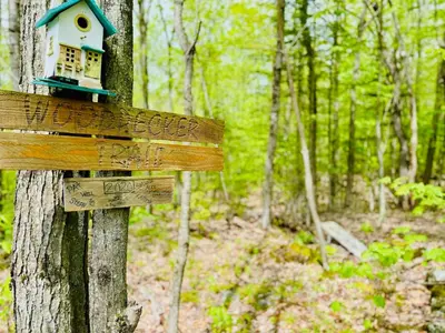 a wooden sign with a bird house on a tree at Woodpecker Spa and peace in Orford