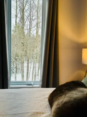 a bed and a window with a view of trees at Woodpecker Spa and peace in Orford