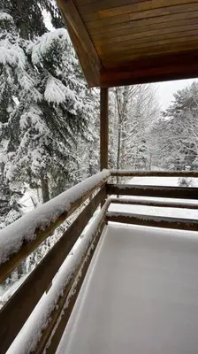 a porch covered in snow with trees in the background at chalet Ani in Piopolis
