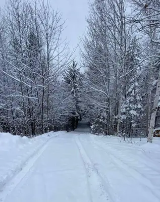 a snow covered street with trees and a snow covered road at chalet Ani in Piopolis