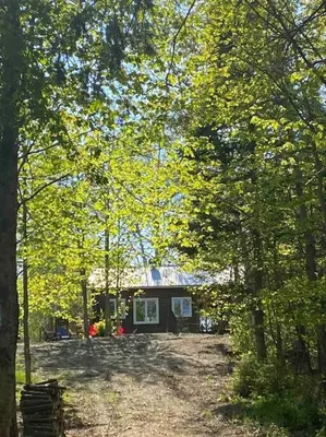 a small house in the middle of a forest at chalet Ani in Piopolis