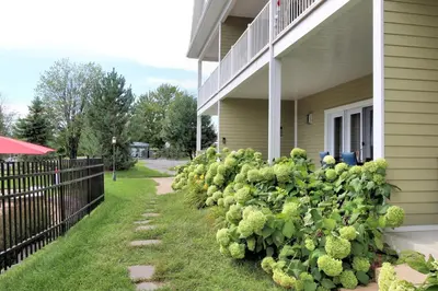 a row of green bushes next to a house at Superbe condo - Navette de Ski Gratuite #102 in Bromont