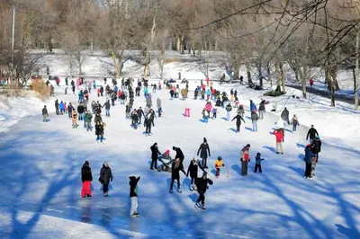 a large group of people skating in the snow at Best Monthly Deal - Plateau Apt - Top location in Montréal