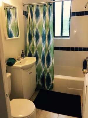 a bathroom with a toilet and a shower curtain at Stylish Montreal Apartment: Comfortable Stay in the Golden Square Mile in Montréal