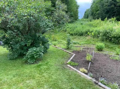 a garden with some plants in the grass at Le Highwater - Cabin in Mansonville