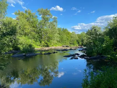a river with trees and rocks in the water at Le Highwater - Cabin in Mansonville