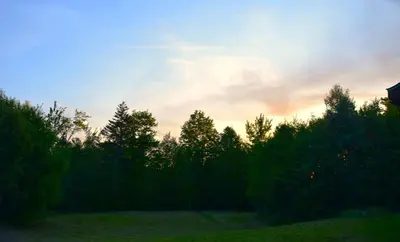 a group of trees with the sunset in the background at Chalet en bois rond des Perséides in Saint-Isidore dʼAuckland
