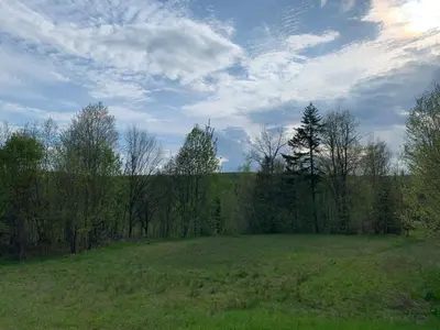 a large field with trees and a cloudy sky at Chalet en bois rond des Perséides in Saint-Isidore dʼAuckland