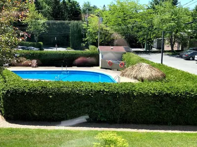 a swimming pool in a yard with a hedge at OMagogcondo com A in Magog-Orford