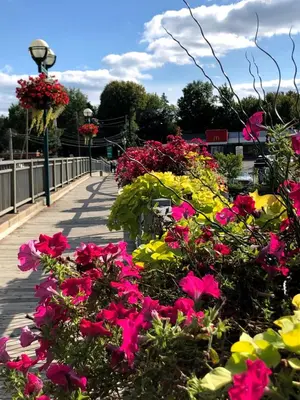 a bunch of flowers on a bridge at OMagogcondo com A in Magog-Orford