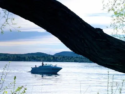 a boat on the water under a tree at OMagogcondo com A in Magog-Orford
