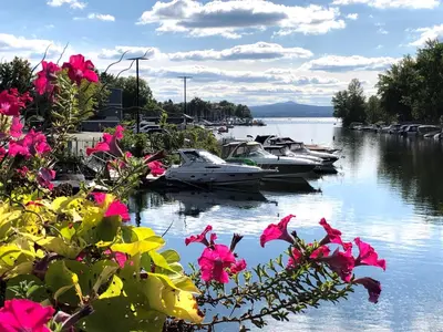 a group of boats docked in a harbor with pink flowers at OMagogcondo com B in Magog-Orford