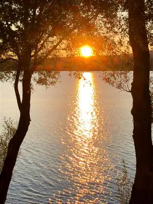 a sunset over a body of water with a tree at OMagogcondo com B in Magog-Orford