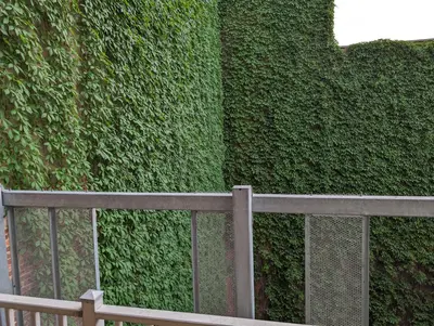 a fence in front of a green wall at Cozy Studio in Montreal's Quartier des Spectacles in Montréal