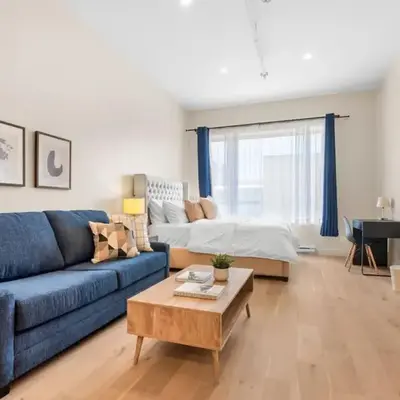 Luxurious DownTown Suite