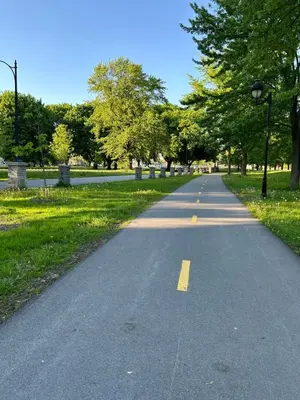 a road in a park with trees and grass at Walk on the riverside in Montréal