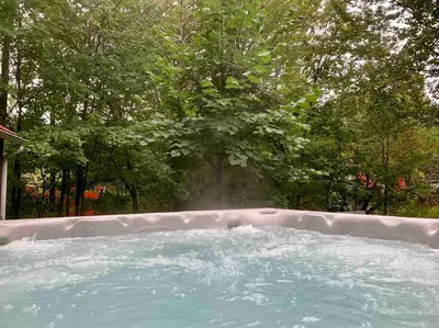 a plunge pool with a tree in the background at Chalet familial et SPA à proximité du Mont Orford in Orford