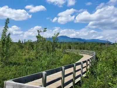 a wooden boardwalk in the middle of a field at Etoile bleue Beach bike shops Magog-Orford in Magog-Orford
