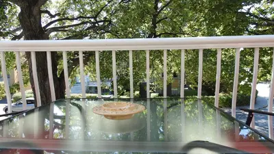 a glass table on a balcony with a tree at Feels like a Home ,Away from Home ! in Montréal