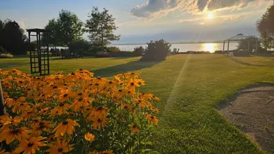 a field of yellow flowers in a park with the sunset at Hotel Oasis Lac St-Louis in Salaberry de Valleyfield