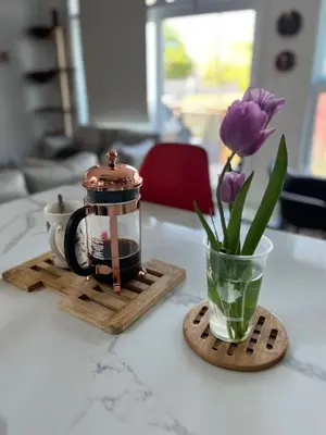 a coffee pot and a vase with a flower on a table at Luna's Room in Longueuil