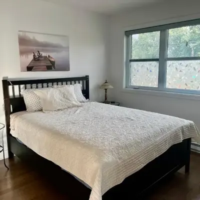 Luna's Room