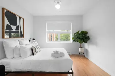 a white bedroom with a bed with a potted plant at Trendy 2-Bedroom Haven by Jean Talon Market in Montréal