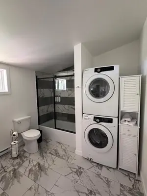 a bathroom with a washing machine and a toilet at Altitude - magnifique logement in Granby