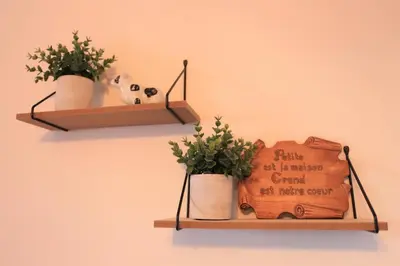 a shelf with two plants and a sign on a wall at Cozy studio in montreal in Montréal