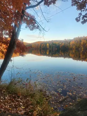 a view of a lake in the fall at Le cosy for familys, home work in Longueuil