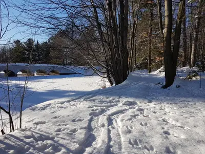 a snow covered field with trees and a bridge at L'Ile Enchantée in Trois-Rivières
