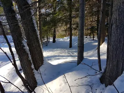 a snow covered trail in a forest with trees at L'Ile Enchantée in Trois-Rivières
