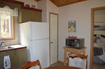 a kitchen with a white refrigerator and a microwave at Chalet Esmeralda in Piopolis