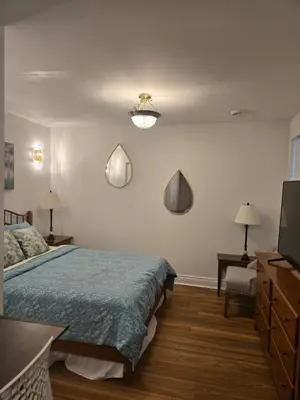 a bedroom with a bed and a flat screen tv at Doux cocon in Saint-Jean-sur-Richelieu