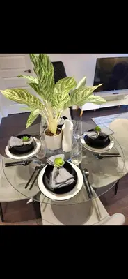 a glass table with plates and a potted plant on it at Condo 2 chambres avec parking privé - Griffintown in Montréal