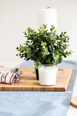 a plant sitting on a wooden cutting board with a candle at Cozy 2-Bedroom à Plateau-Mont-Royal in Montréal