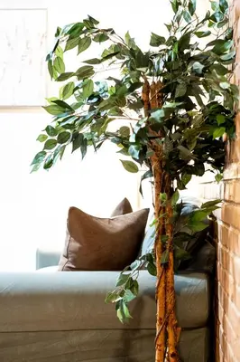 a tree sitting on a couch next to a pillow at Great 3B unit on Saint-Urbain in Montréal