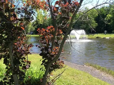 a park with a pond with a fountain at Perle Urbaine Chic et confort in Longueuil