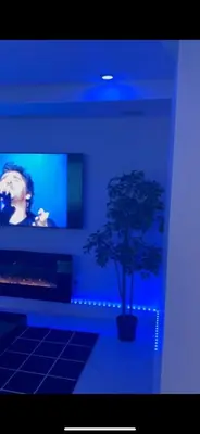 a blue room with a potted plant in front of a tv at Marlene in Montréal