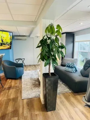 a living room with a couch and a potted plant at Main Street in North Hatley