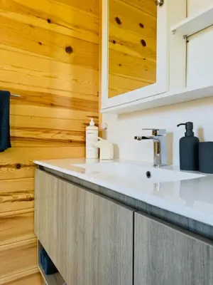 a bathroom with a white sink and a mirror at Le Garage 17 in Frelighsburg