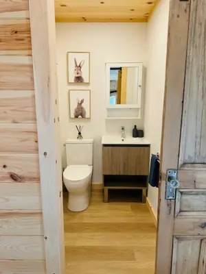a bathroom with a toilet and a sink at Le Garage 17 in Frelighsburg