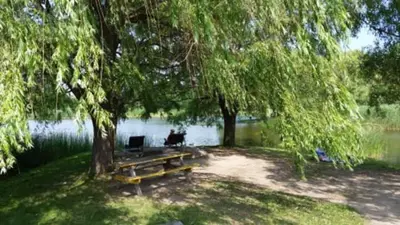 a park bench under a tree next to a lake at Huge 3 Bedroom Condo with a Large Patio in Montréal
