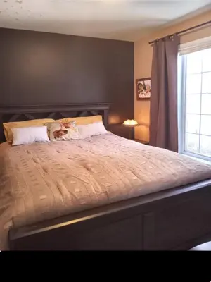 a bed with a cat laying on top of it at Villa le Voyageur in Sherbrooke