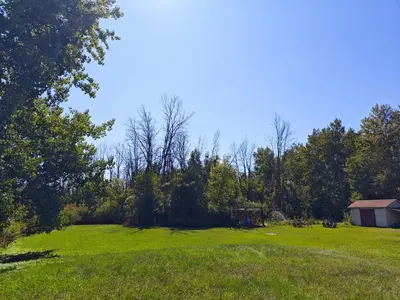 a large grassy field with a barn and trees at Objectif Santé in Longueuil