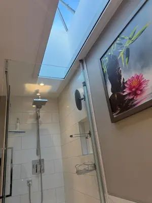 a skylight in a bathroom with a shower at Cozy & spacious 3 BDR condo in Montréal