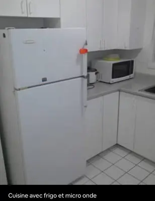a white kitchen with a refrigerator and a microwave at Appartement chic in Montréal