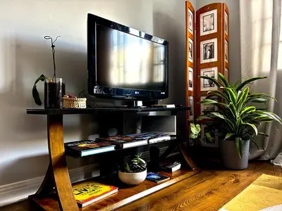 a television on a stand in a room with plants at Comodo apartamento tipo estudio in Montréal