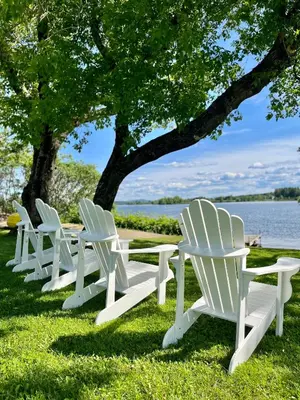 a row of white chairs sitting in the grass near the water at Auberge l'Intermède du lac in Disraeli