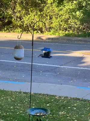 a blue umbrella sitting in the middle of a street at 10 minutes to Montreal entire place 2 bedrooms private entrance in Laprairie